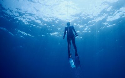 A Guide to Blacklip Performance Diving Wetsuits