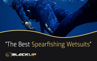 The Best Spearfishing Wetsuit